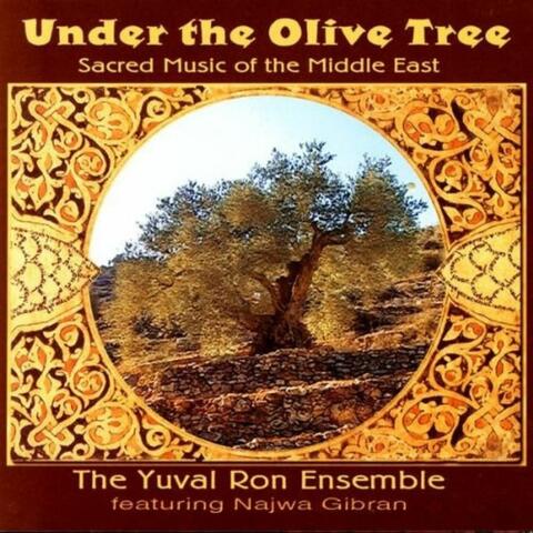 Under the Olive Tree