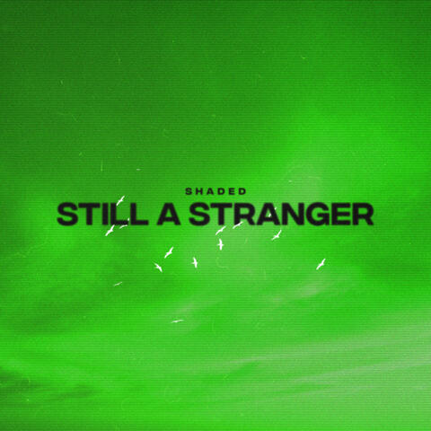 Still A Stranger