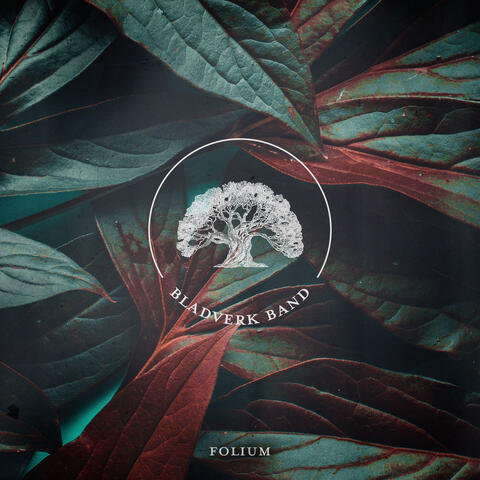 Folium
