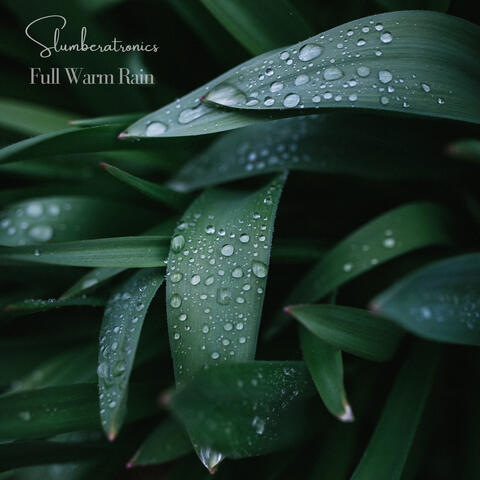 Full Warm Rain
