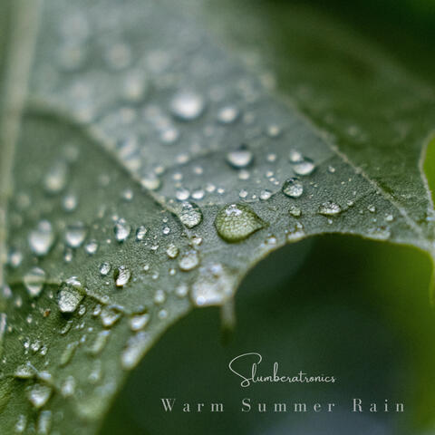 Warm Summer Rain