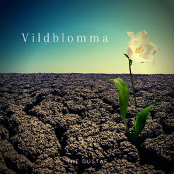 Vildblomma