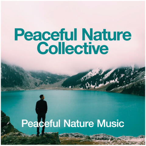 Peaceful Nature Collective