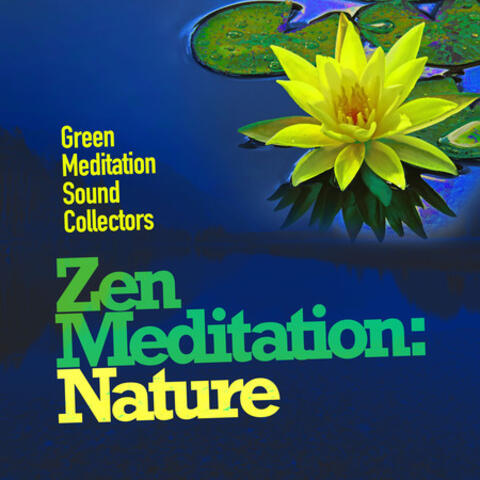 Zen Meditation: Nature