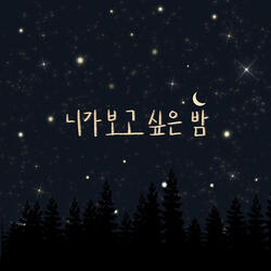니가 보고싶은 밤 Night I Miss You
