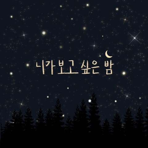 니가 보고싶은 밤 Night I Miss You