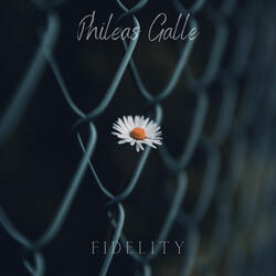 Fidelity