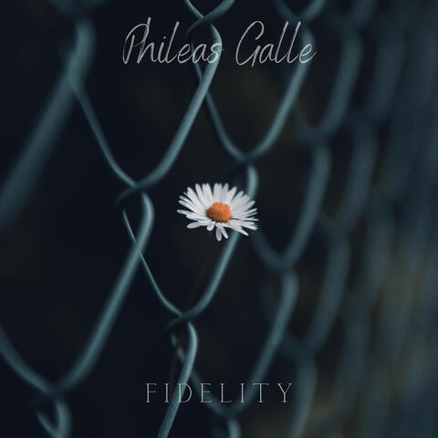 Fidelity