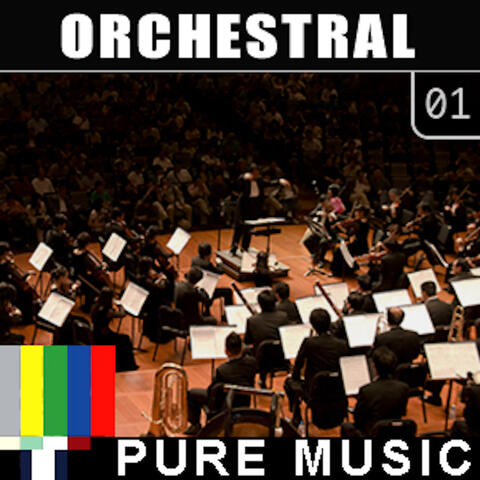 Orchestral, Vol. 1