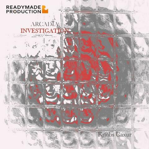 Investigation