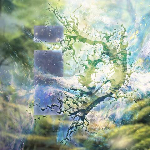 ACID RICHTER