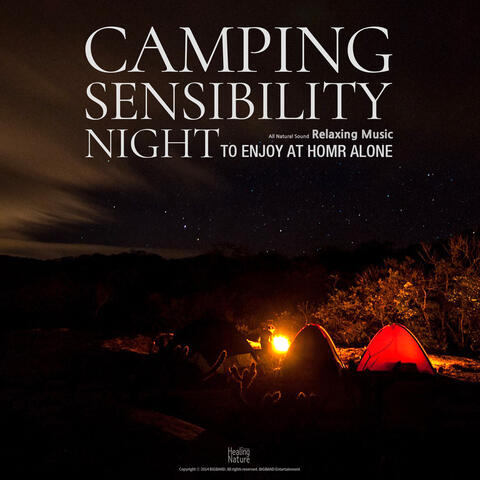 집에서 즐기는 혼자만의 캠핑감성 모닥불 소리 Camping Sensibility to Enjoy at Home Alone