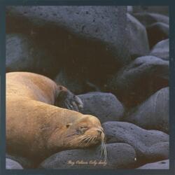 Goodnight, Irene