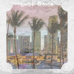 Lost Goose