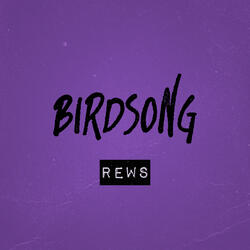 Birdsong