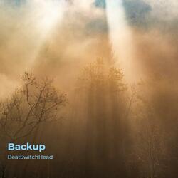 Backup