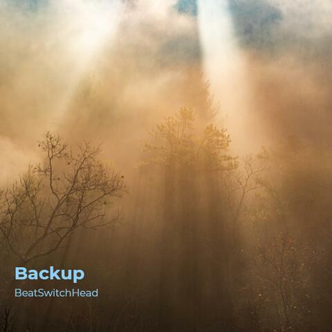 Backup