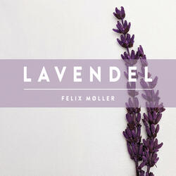 Lavendel