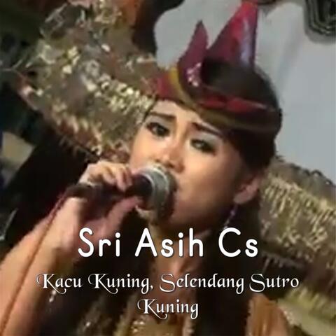 Kacu Kuning, Selendang Sutro Kuning