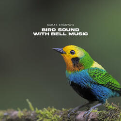 Bird Sound With Bell Music