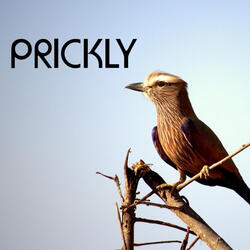 Prickly