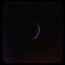 Purple Dreams