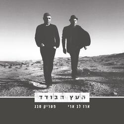 אם הייתי