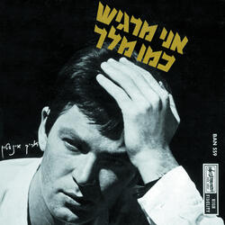 לא פעם בקיץ