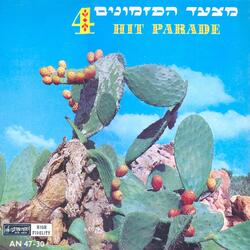טוויסט הבעלים בסינור