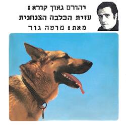 עזית שטה בצוללת