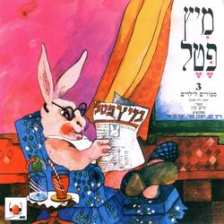 פיט פט וטו