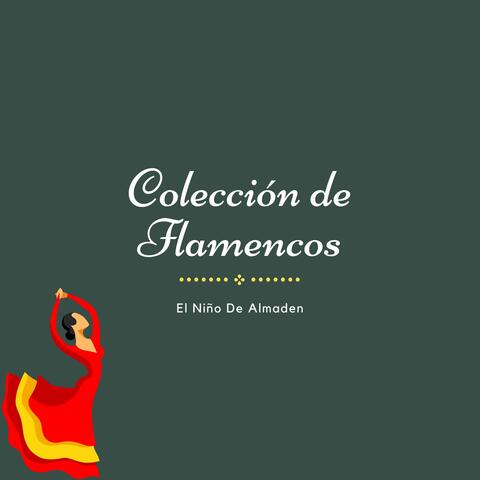 Colección de Flamencos