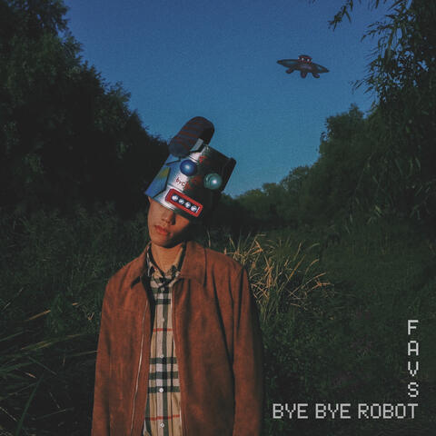 Bye Bye Robot