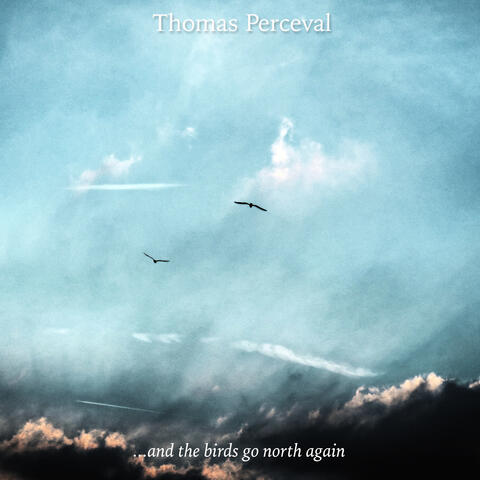 And The Birds Go North Again