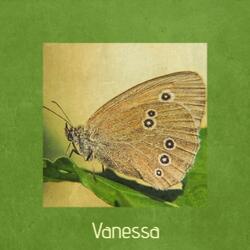 Vanessa