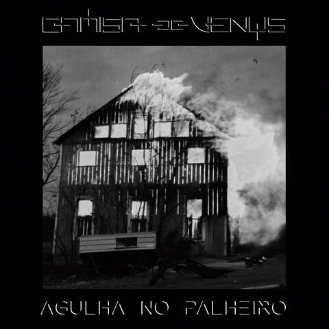 Agulha no palheiro
