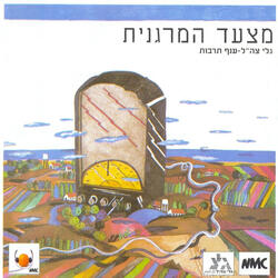 יש לי כנרת