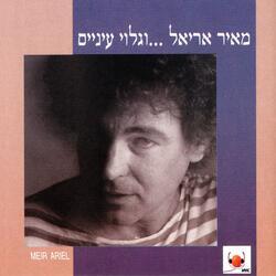 לילה שקט עבר על כוחותינו בסואץ