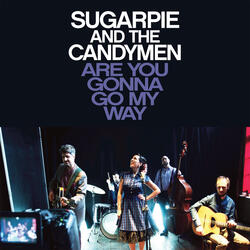Are You Gonna Go My Way