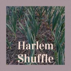 Harlem Shuffle