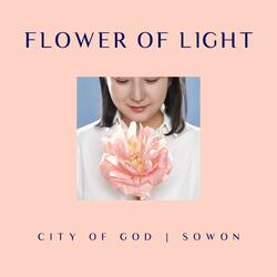Flower of Light (Inst.) Flower Of Light (Inst.)