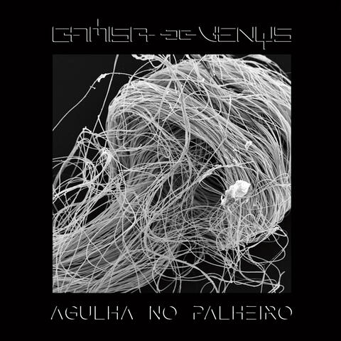 Agulha No Palheiro