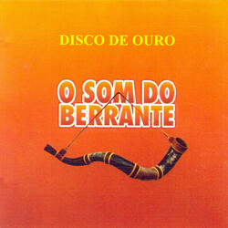 Berrante Não Toca Mais