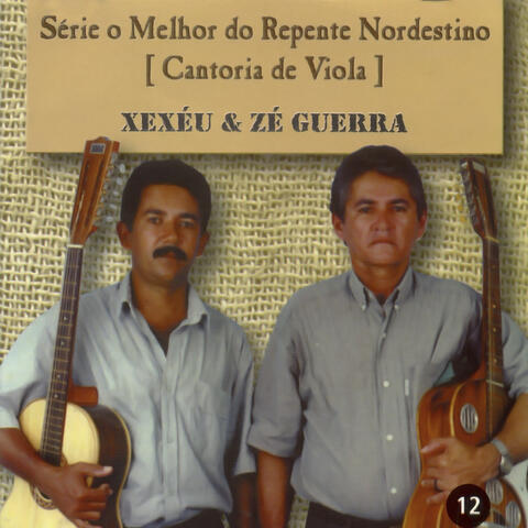 Série o Melhor do Repente Nordestino, Cantoria de Viola: Vol. 12