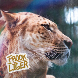 Liger