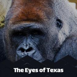 The Eyes of Texas