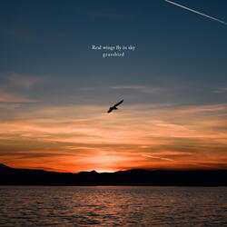 Real wings fly in sky