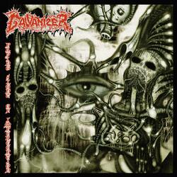 The Sanguine Legacy
