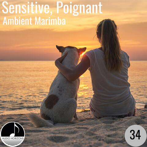 Sensitive, Poignant 34 Ambient Marimba