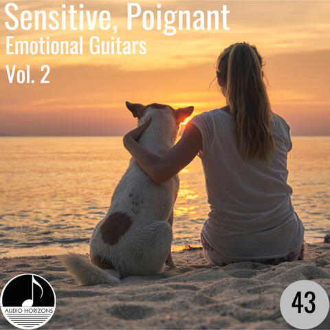 Sensitive, Poignant 43 Emotional Guitars Vol 2